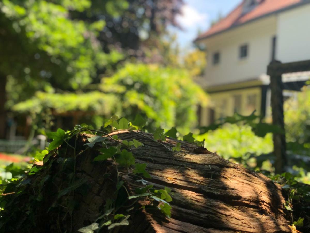 Guesthouse Villa De Eikhof Хенгело Екстериор снимка